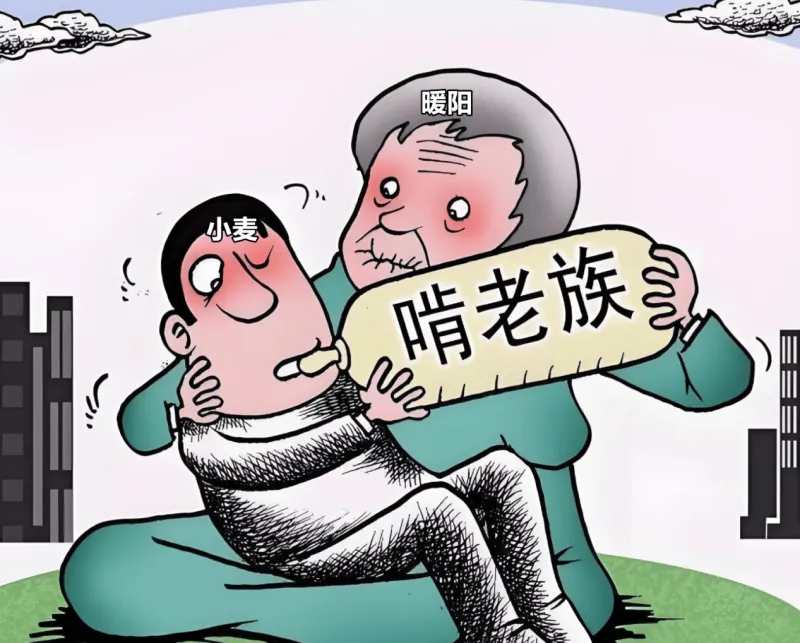 AG体育-狼队打穿胜者组挺进总决赛，KSG双状元组合追平队史最好成绩